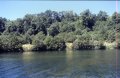 File0011 Lake Waikaremoana
Am 2. Tag geht es immer am Seeufer entlang. Der See ldt immer wiede zu einem Bad ein.